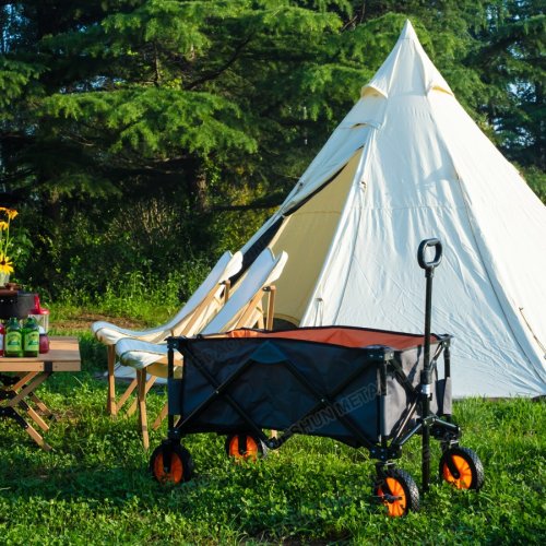 Camping Shopping Folding Wagon Hand Cart CT-0114
